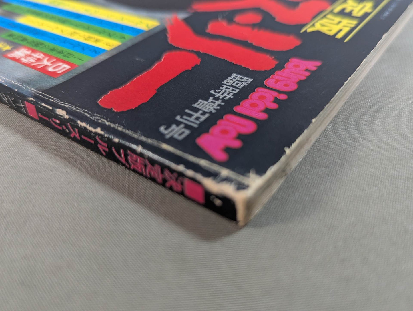 Definitive Edition Bruce Lee  Young Idol Now Special Extra Issue