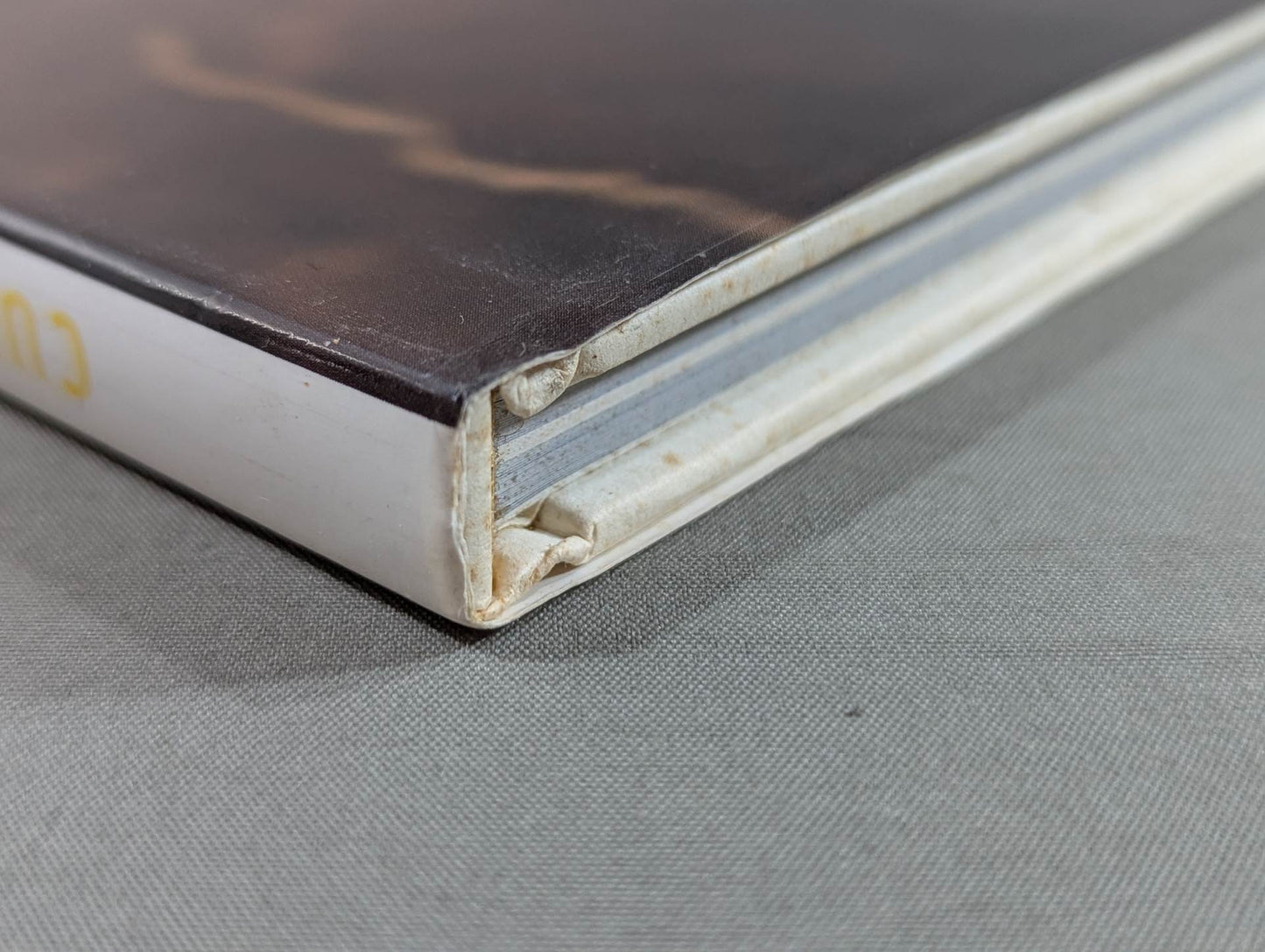 キューティー鈴木 写真集 Cute-2