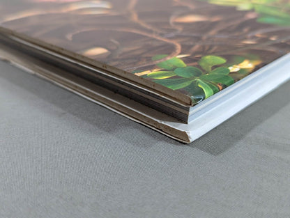 キューティー鈴木 写真集 Cute-2