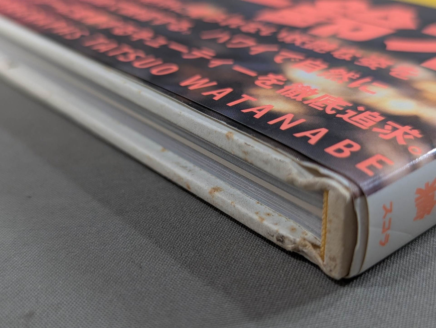 キューティー鈴木 写真集 Cute-2