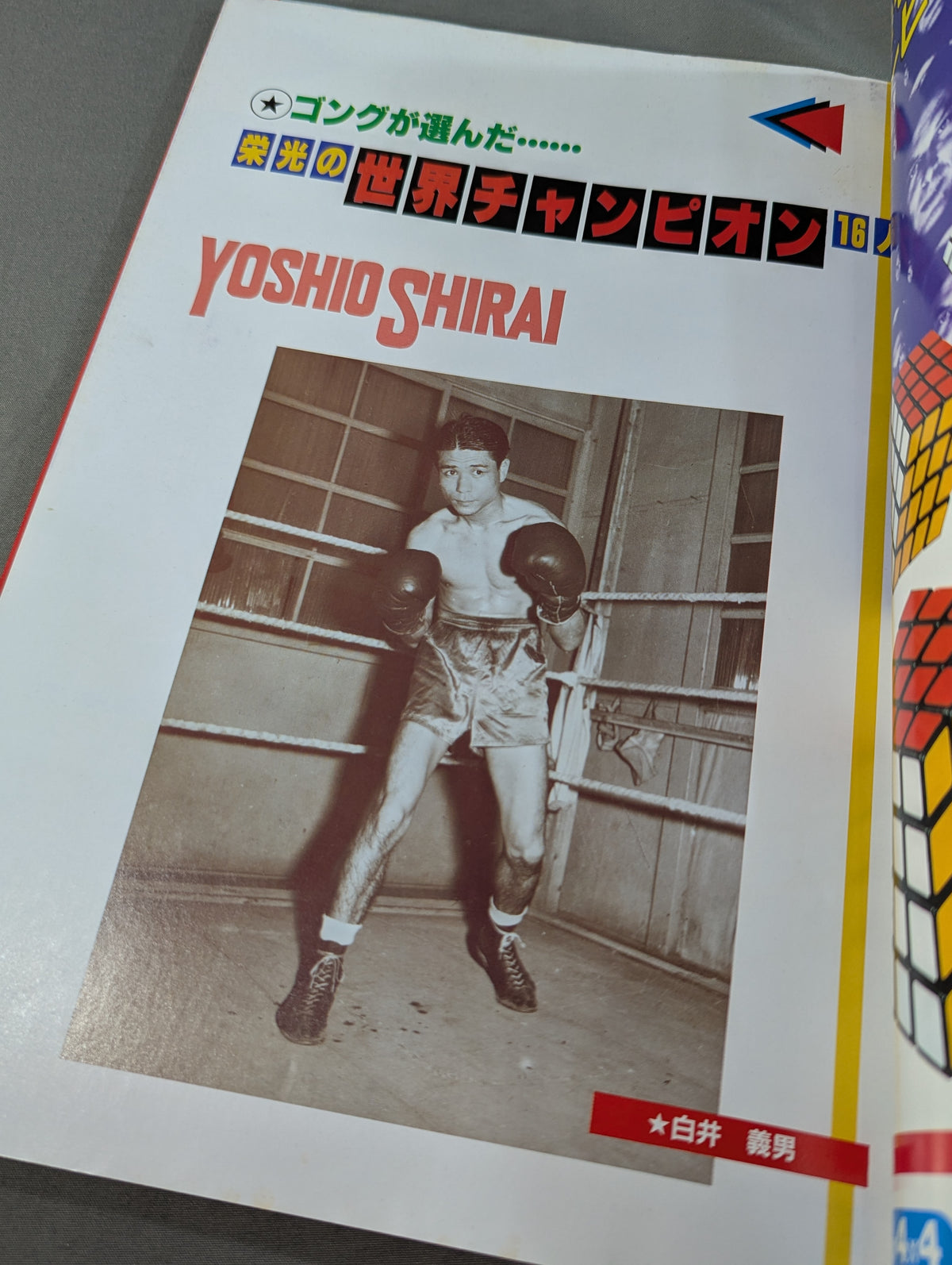 New 100 Famous Japanese Boxers [Yujiro Watanabe, Piston Horiguchi to Jiro Watanabe]