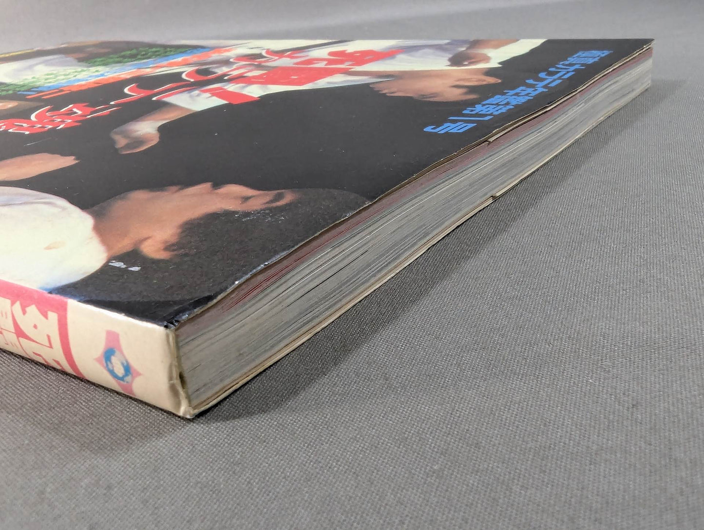 Kyokushin KARATE  Yearbook No. 1 Mortal Battle! KARATE SOUL