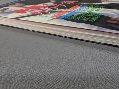 Kyokushin KARATE  Yearbook No. 1 Mortal Battle! KARATE SOUL