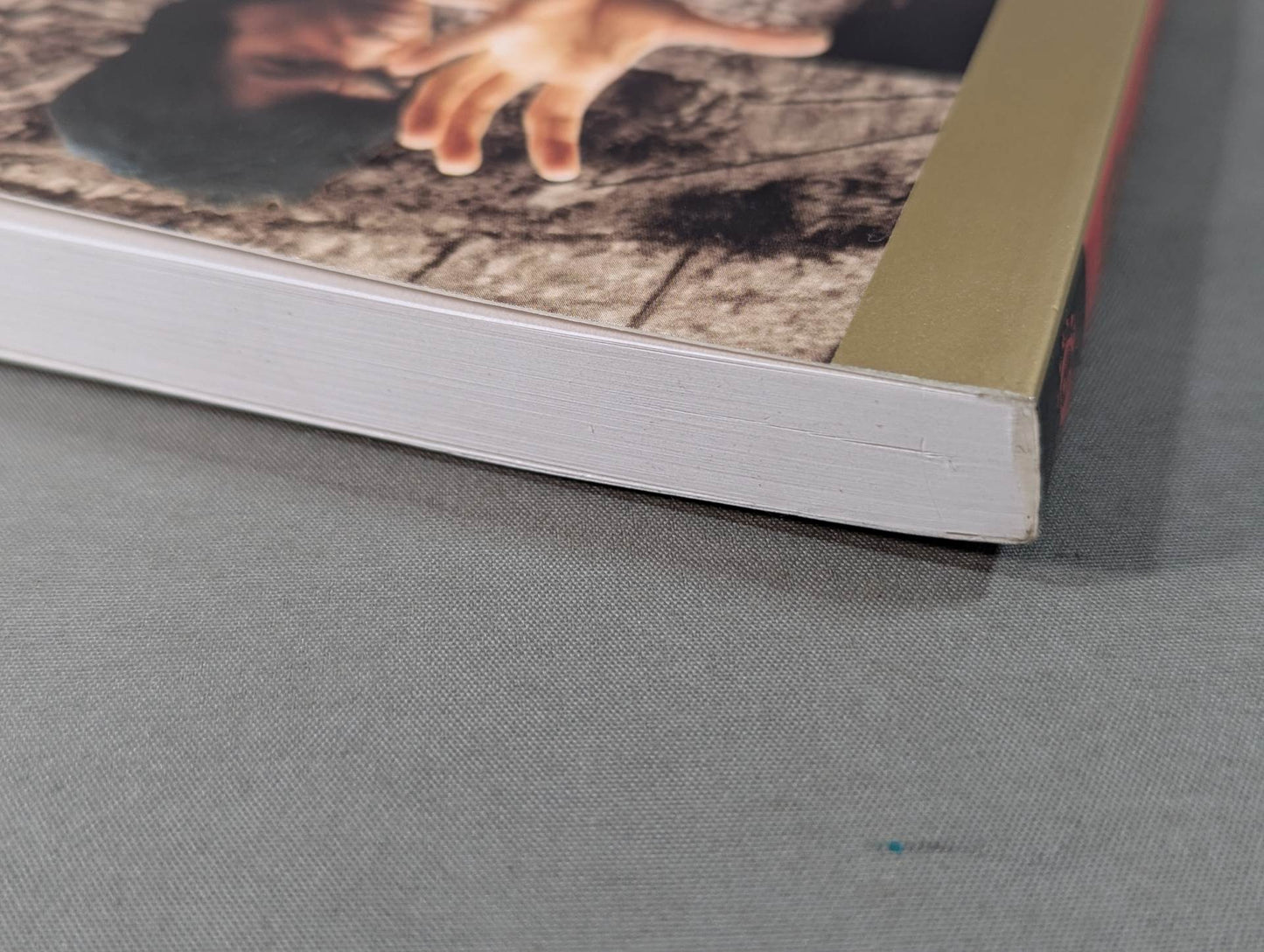 Bruce Lee The Tao of Gung Fu : A Study in the Way of Chinese Martial Art (VOLUME TWO)