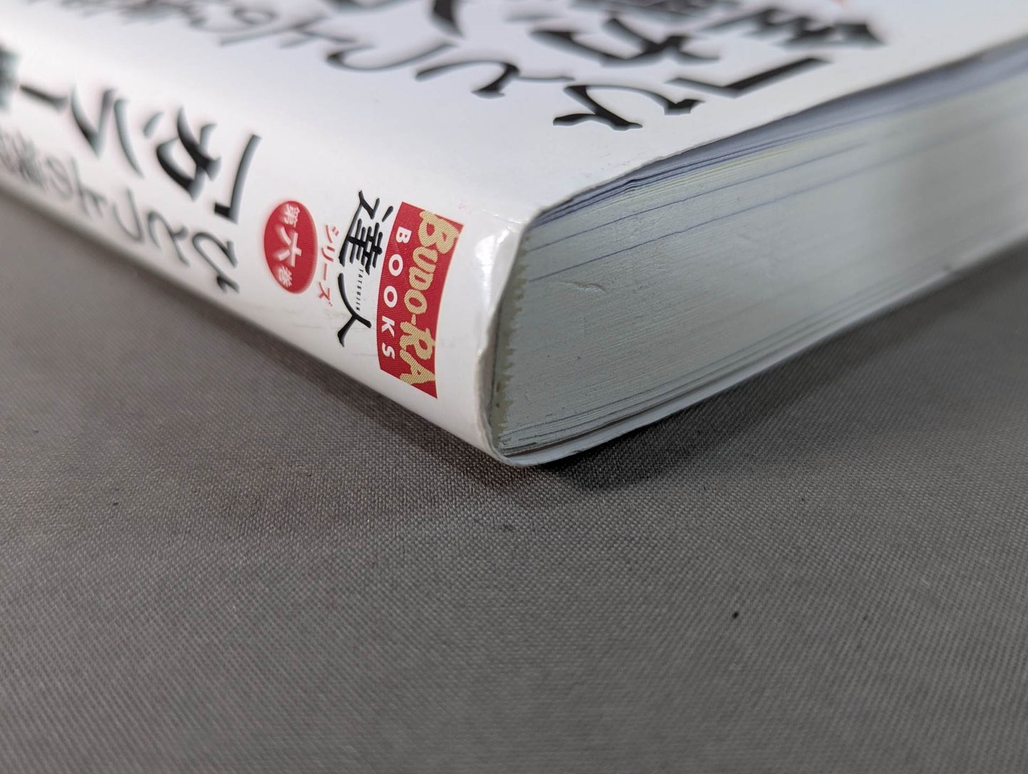 [With DVD] Master Series Volume 6 Aim for a higher level! ! I will teach you all the "Kung Fu Secrets"