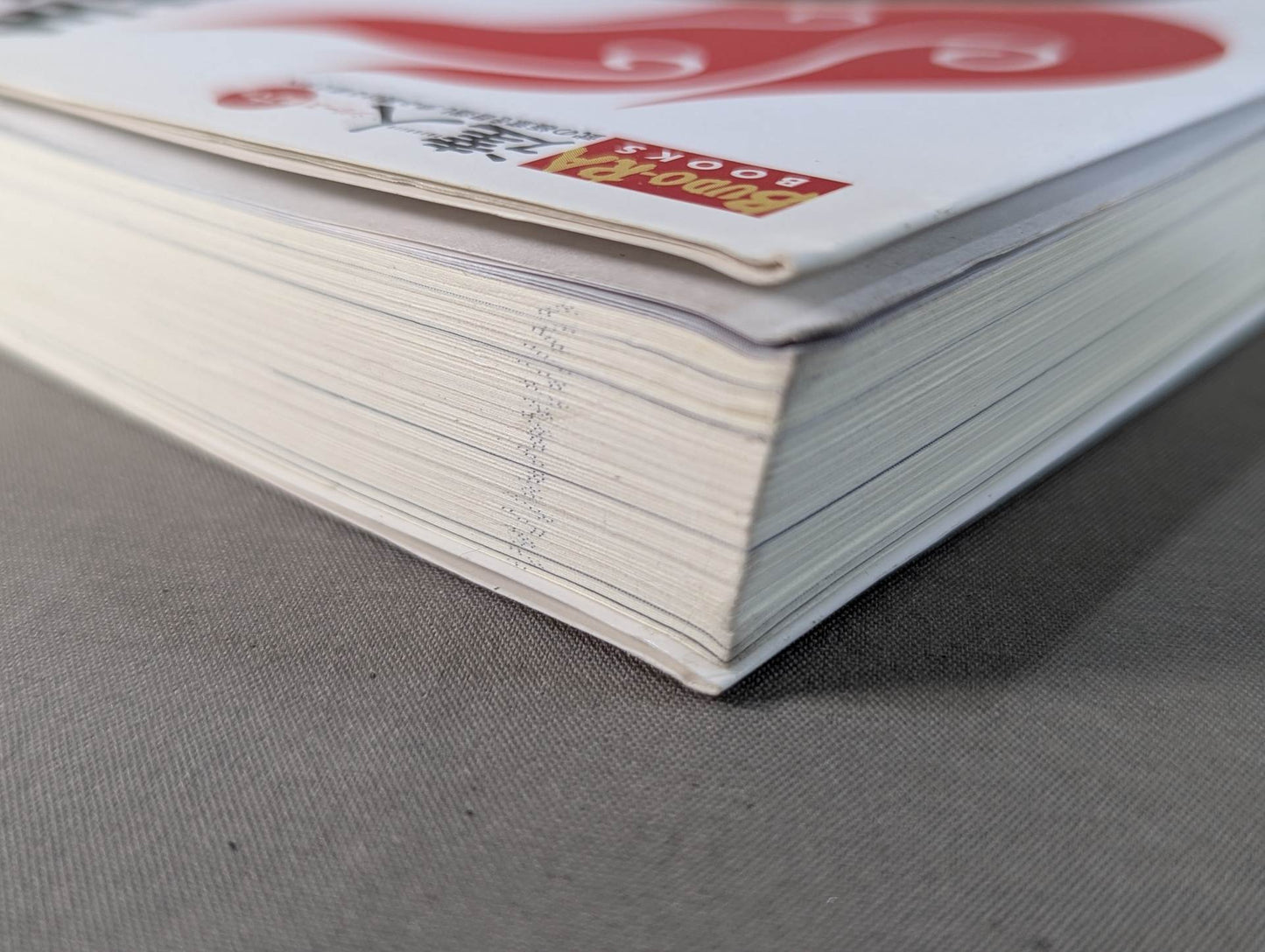 [With DVD] Master Series Volume 6 Aim for a higher level! ! I will teach you all the "Kung Fu Secrets"