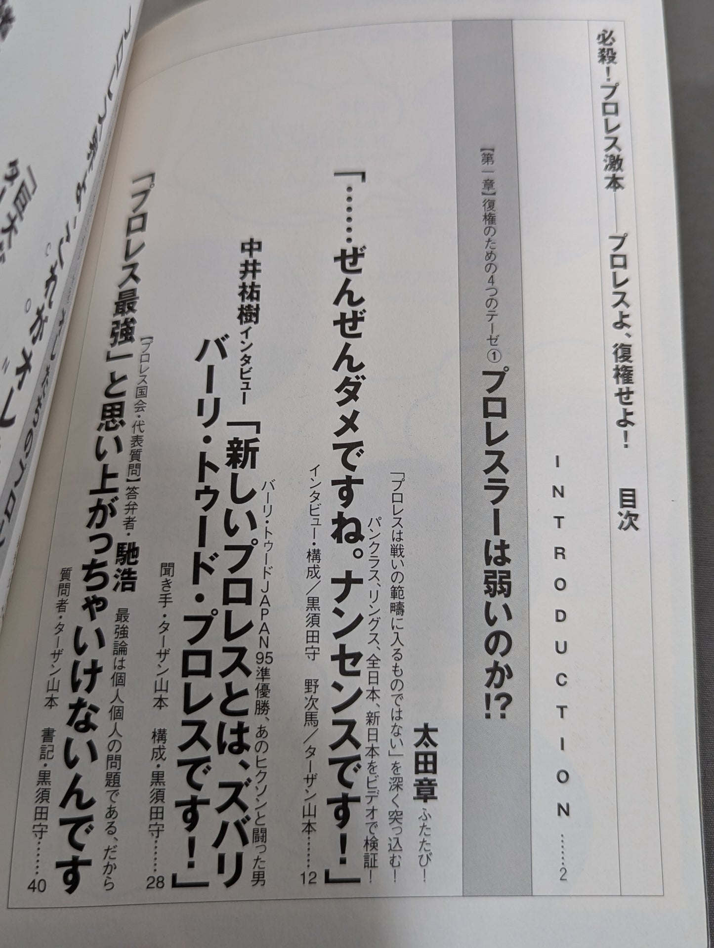必殺！プロレス激本2 もういちど言う プロレスよ、復権せよ！