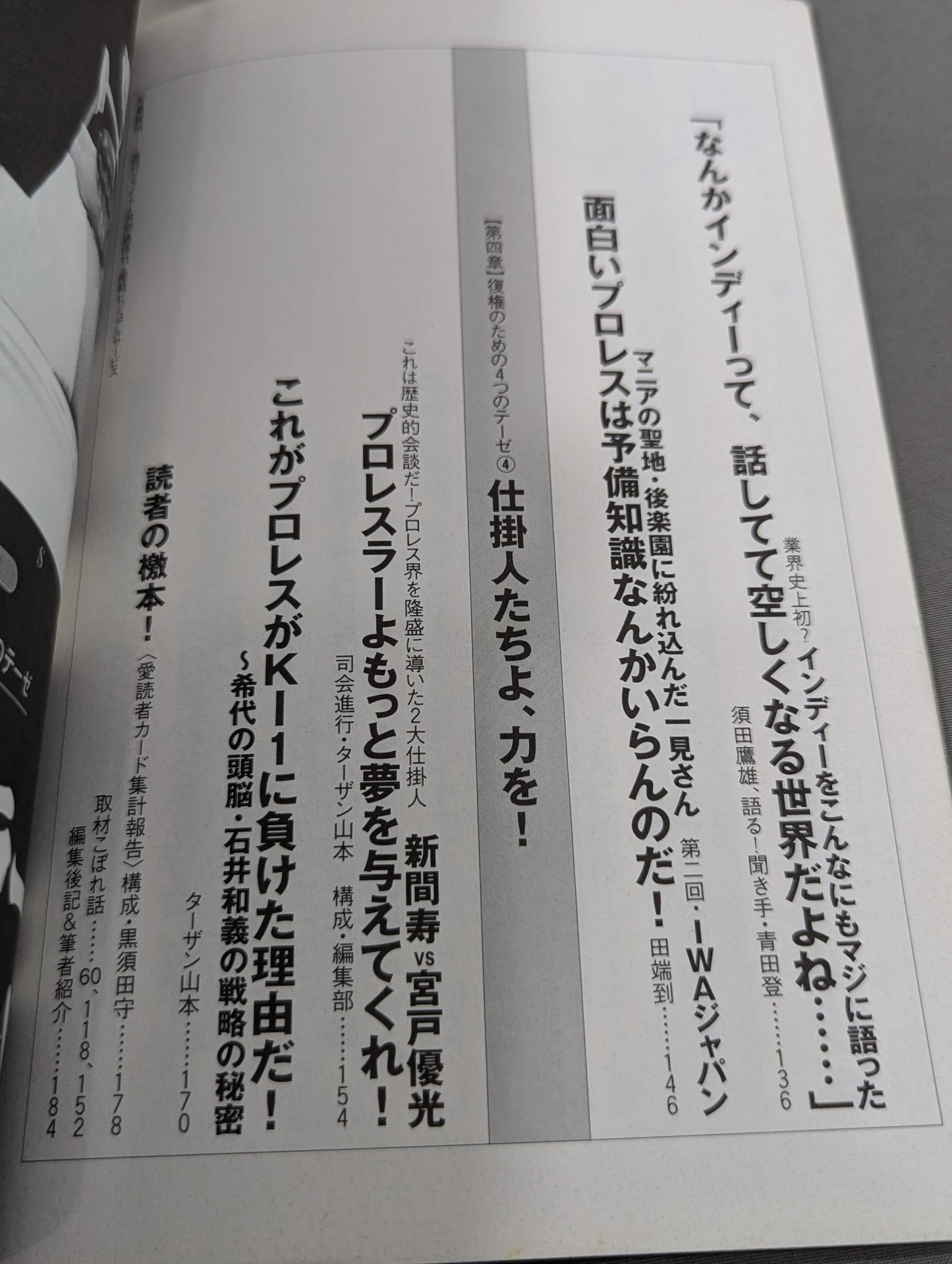 必殺！プロレス激本2 もういちど言う プロレスよ、復権せよ！