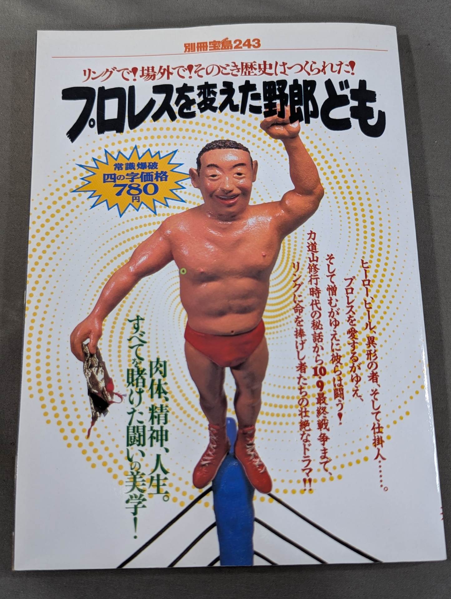 Bessatsu Treasure Island 243 The bastards who changed Pro Wrestling