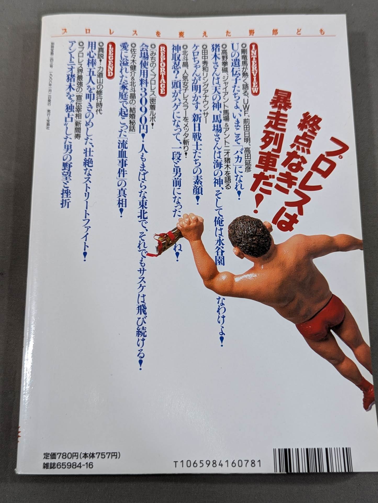 Bessatsu Treasure Island 243 The bastards who changed Pro Wrestling