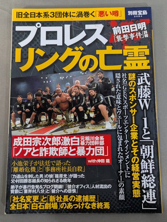 別冊宝島2084 プロレス リングの亡霊