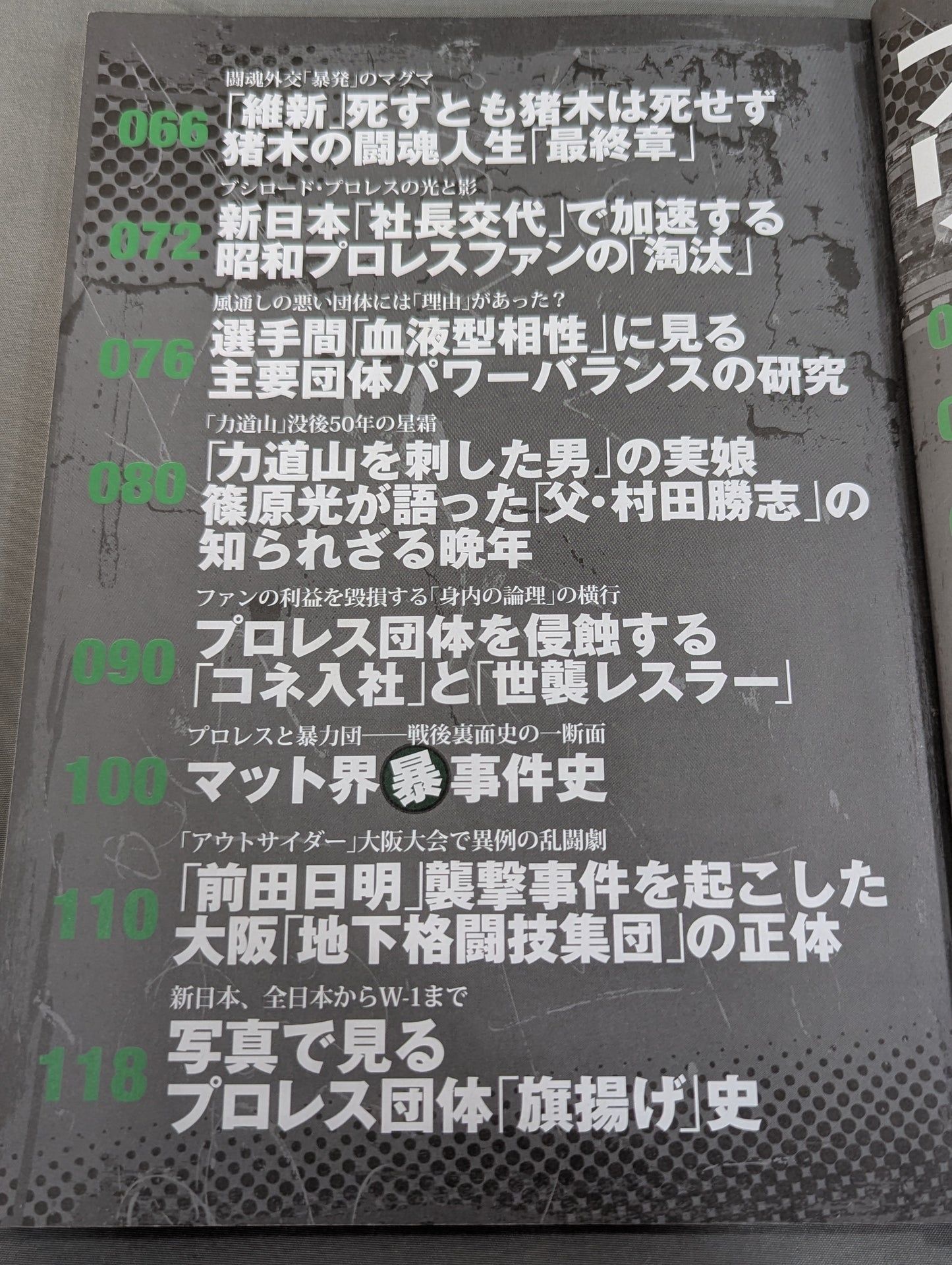 別冊宝島2084 プロレス リングの亡霊