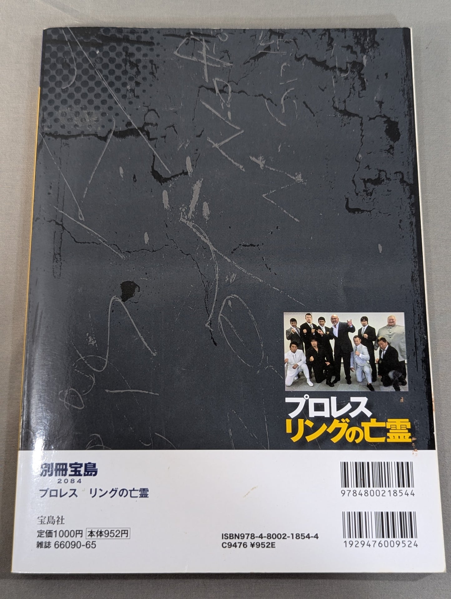 別冊宝島2084 プロレス リングの亡霊