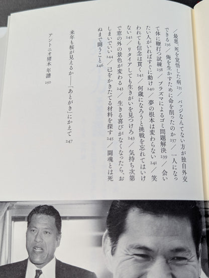 Inoki  Power Immortal Fighting Spirit