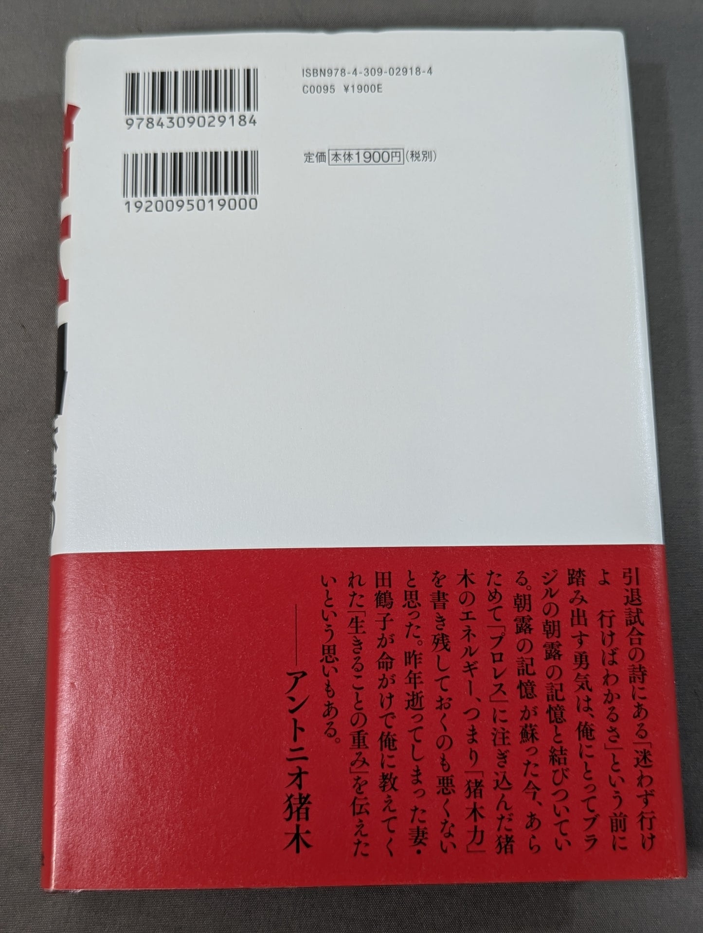 Inoki  Power Immortal Fighting Spirit