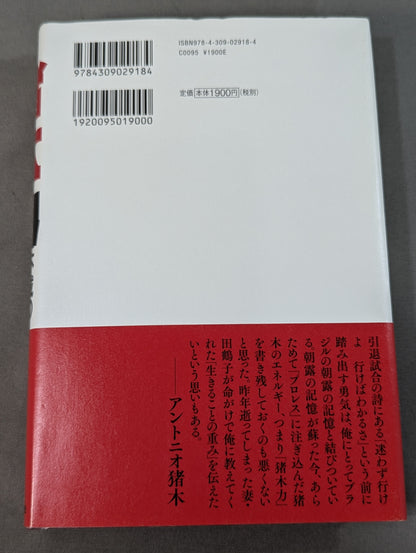 Inoki  Power Immortal Fighting Spirit
