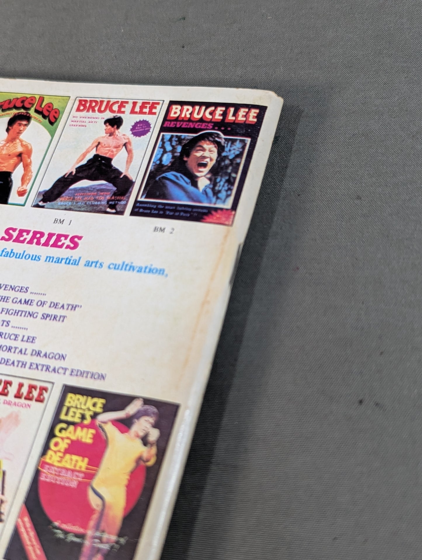 Bruce Lee THE SECRET OF JKD ＆ KUNG FU