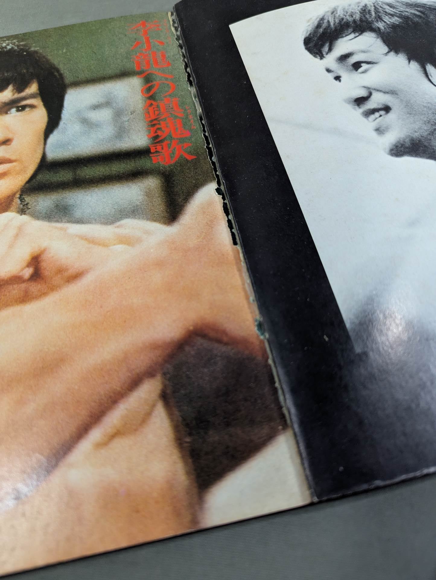 決定版ブルース・リー ヤングアイドルナウ臨時増刊号 – 闘道館