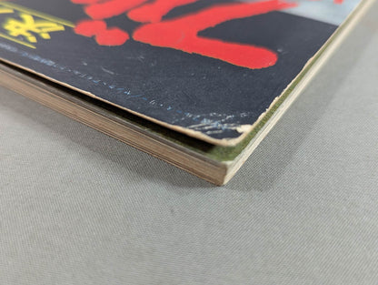 決定版ブルース・リー ヤングアイドルナウ臨時増刊号