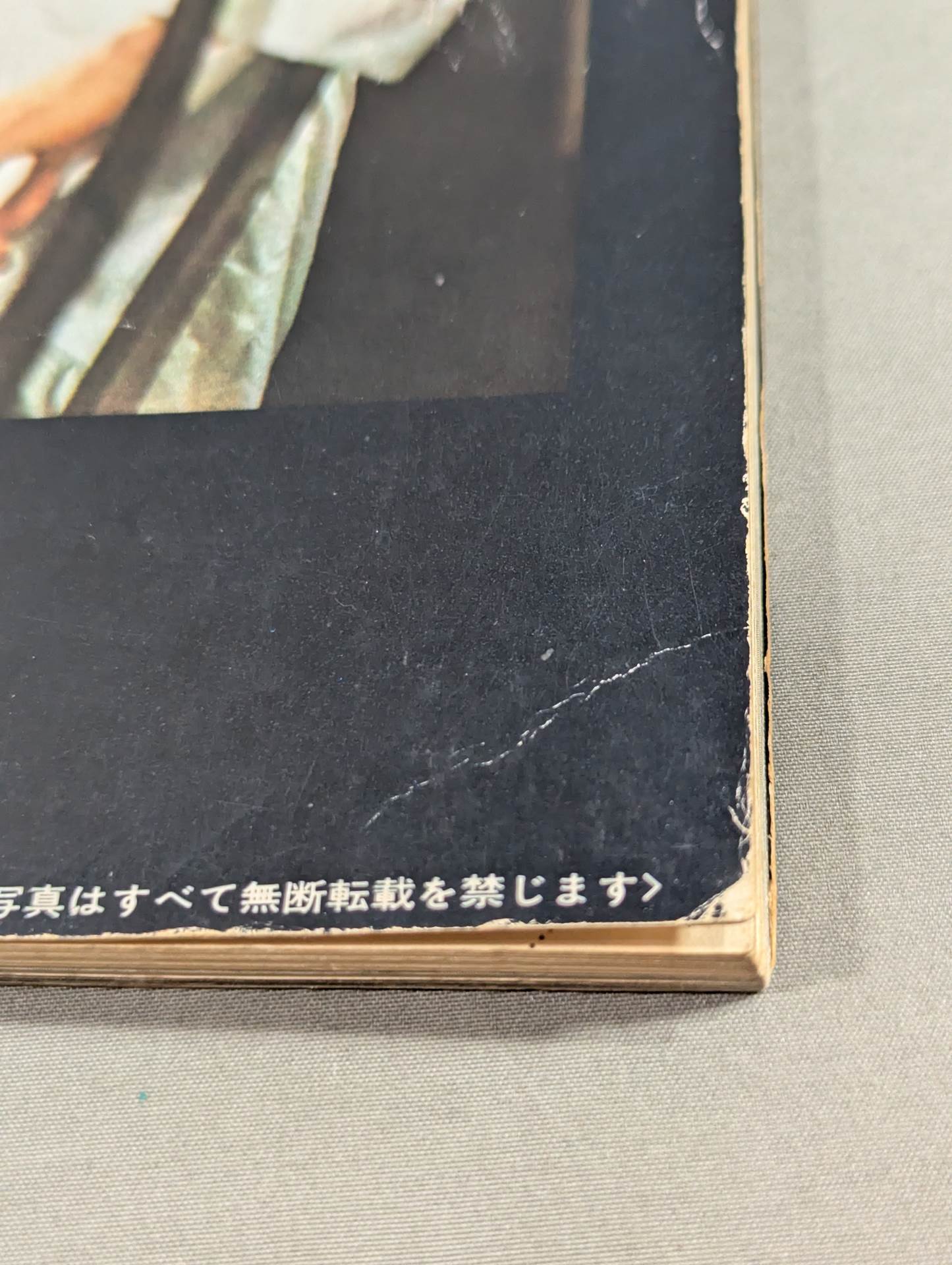 決定版ブルース・リー ヤングアイドルナウ臨時増刊号