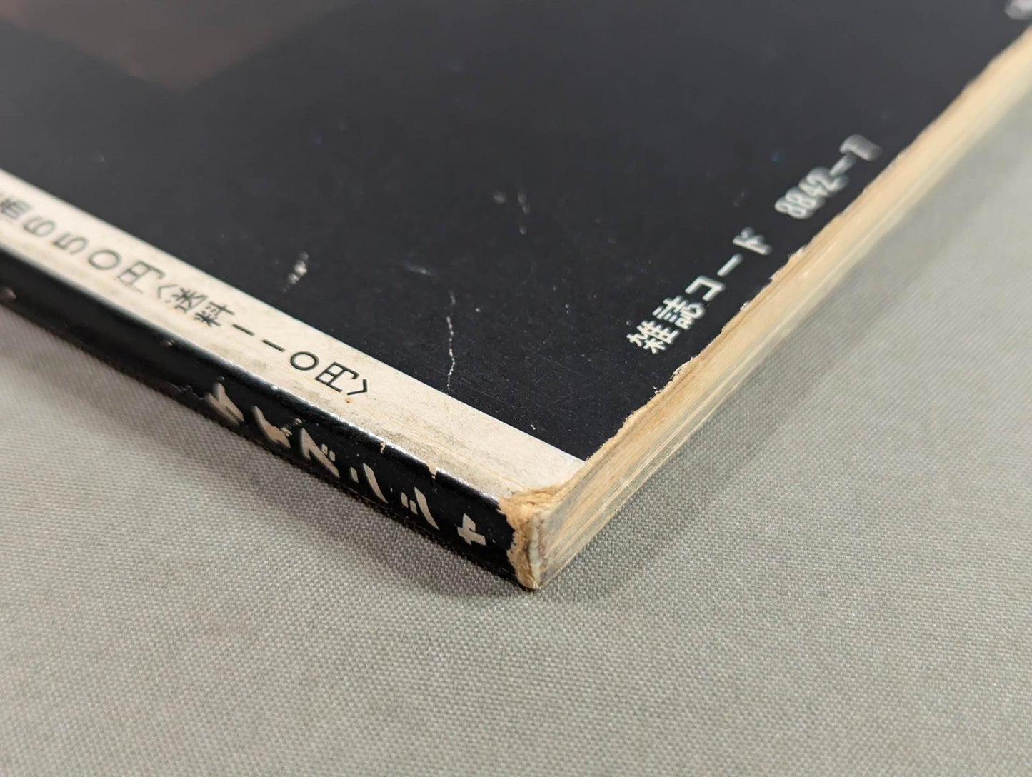 決定版ブルース・リー ヤングアイドルナウ臨時増刊号