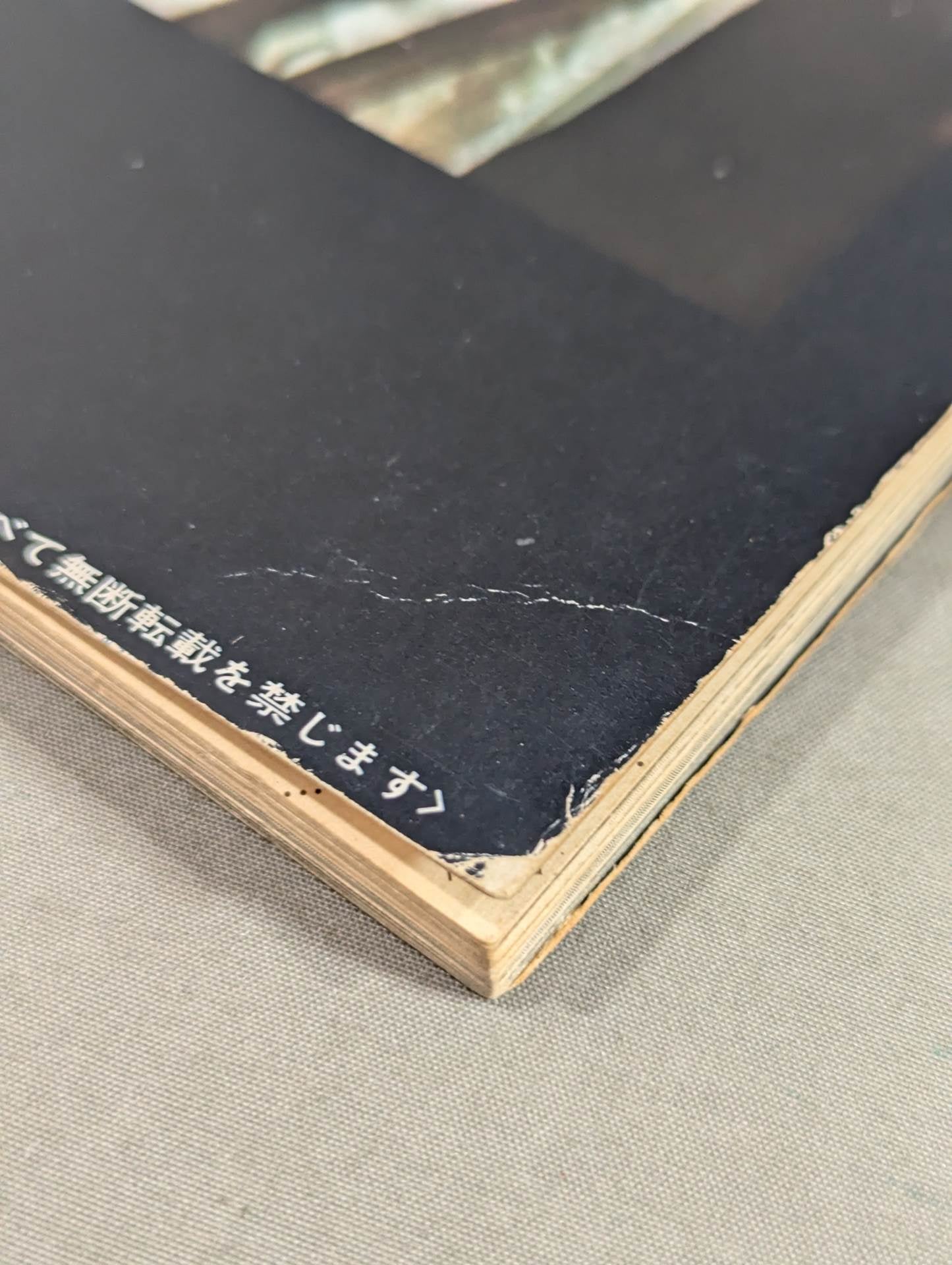 決定版ブルース・リー ヤングアイドルナウ臨時増刊号