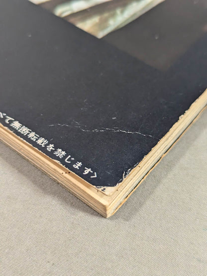 決定版ブルース・リー ヤングアイドルナウ臨時増刊号