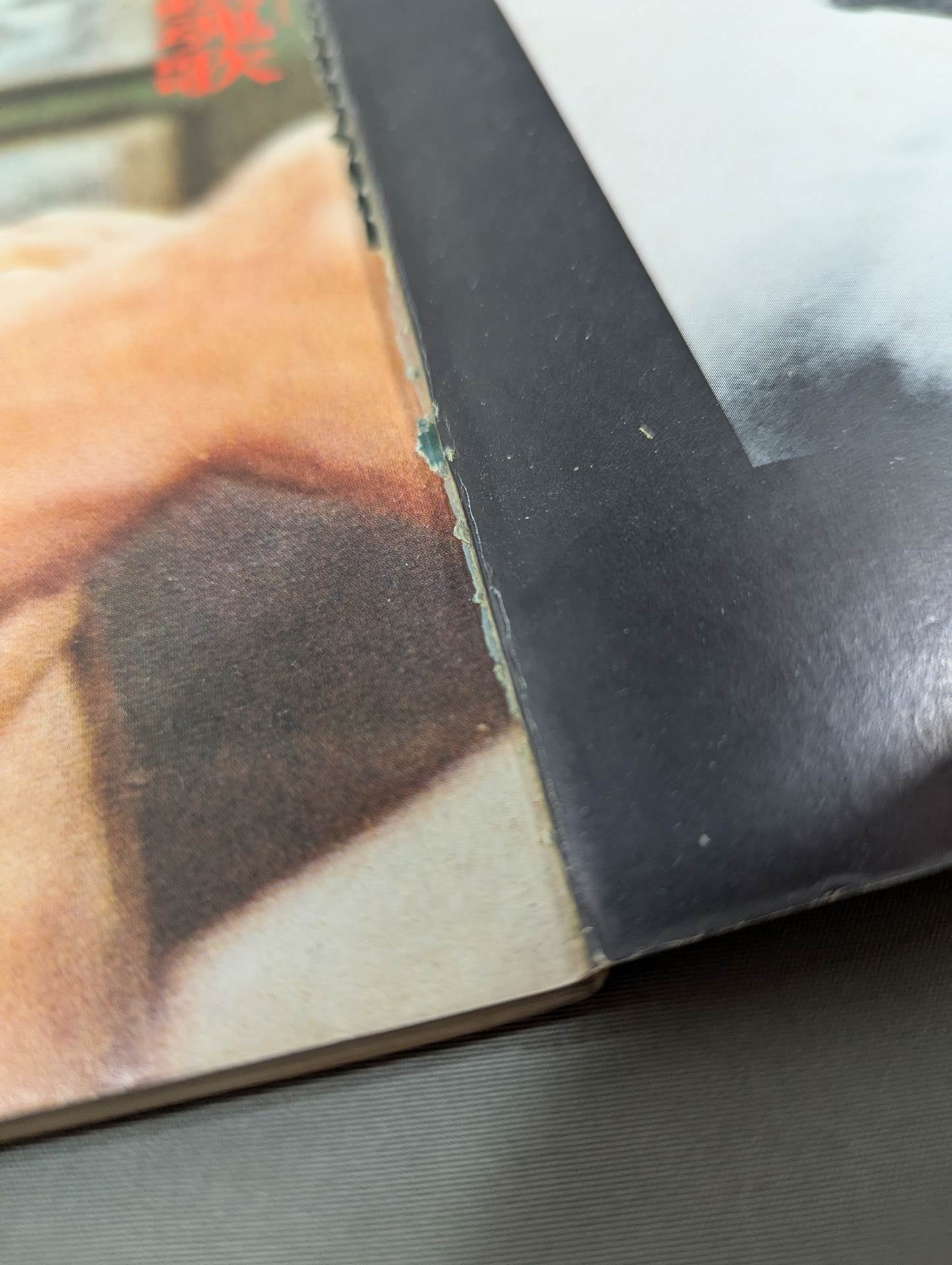 決定版ブルース・リー ヤングアイドルナウ臨時増刊号