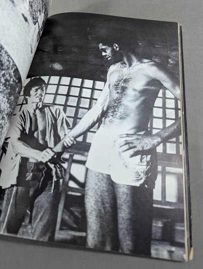 決定版ブルース・リー ヤングアイドルナウ臨時増刊号