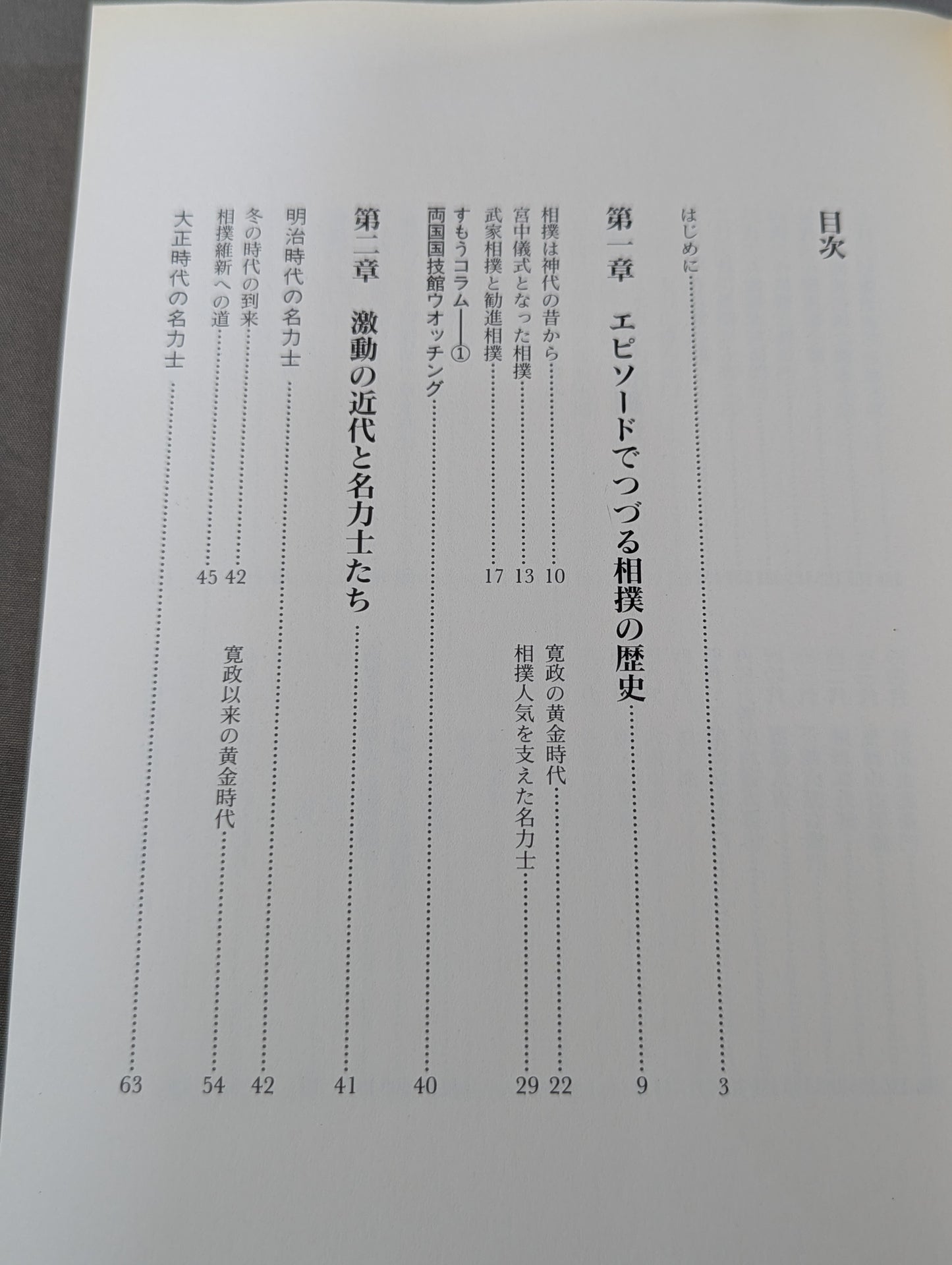 相撲が楽しくなる本  大相撲本場所