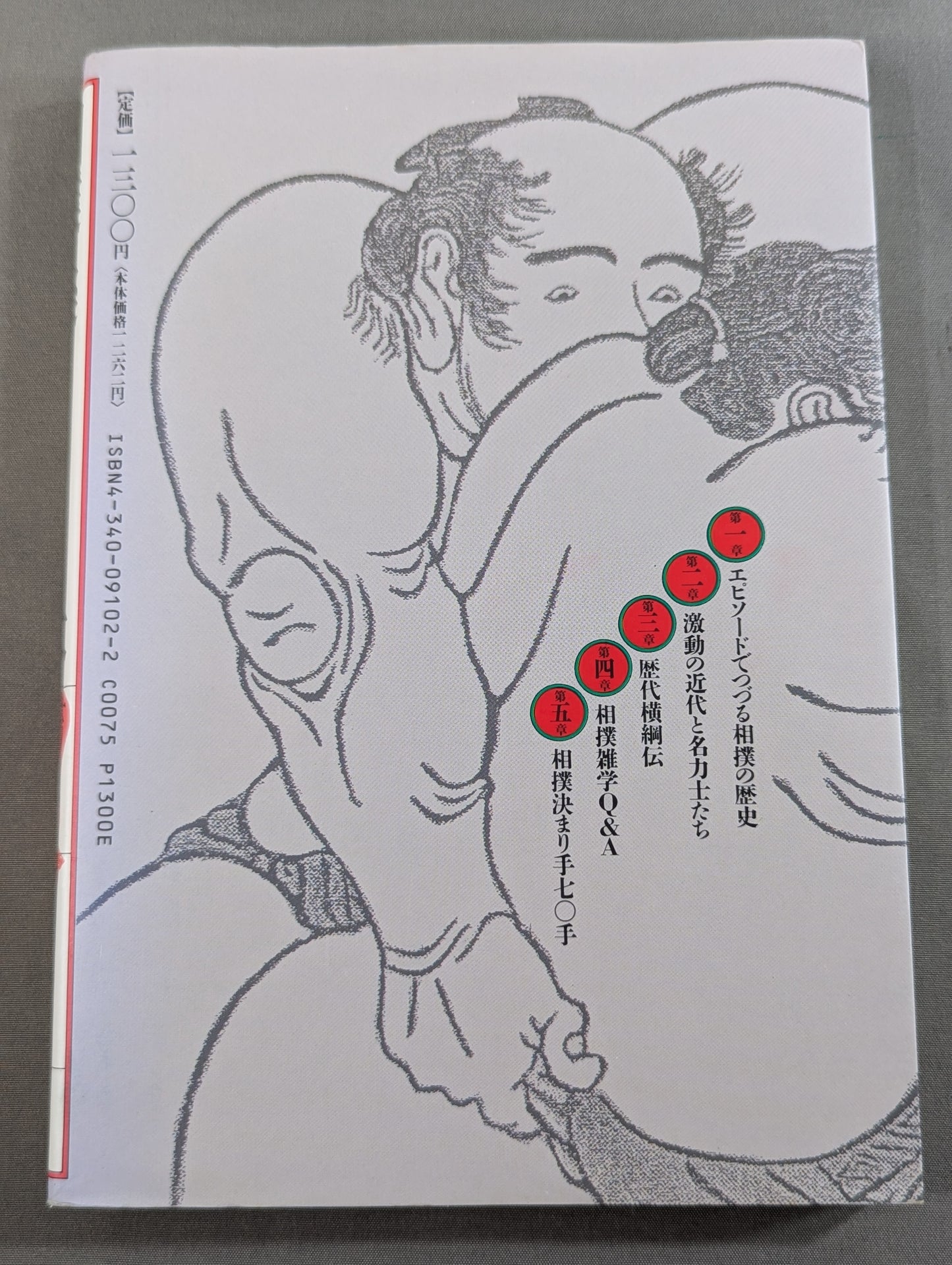 相撲が楽しくなる本  大相撲本場所