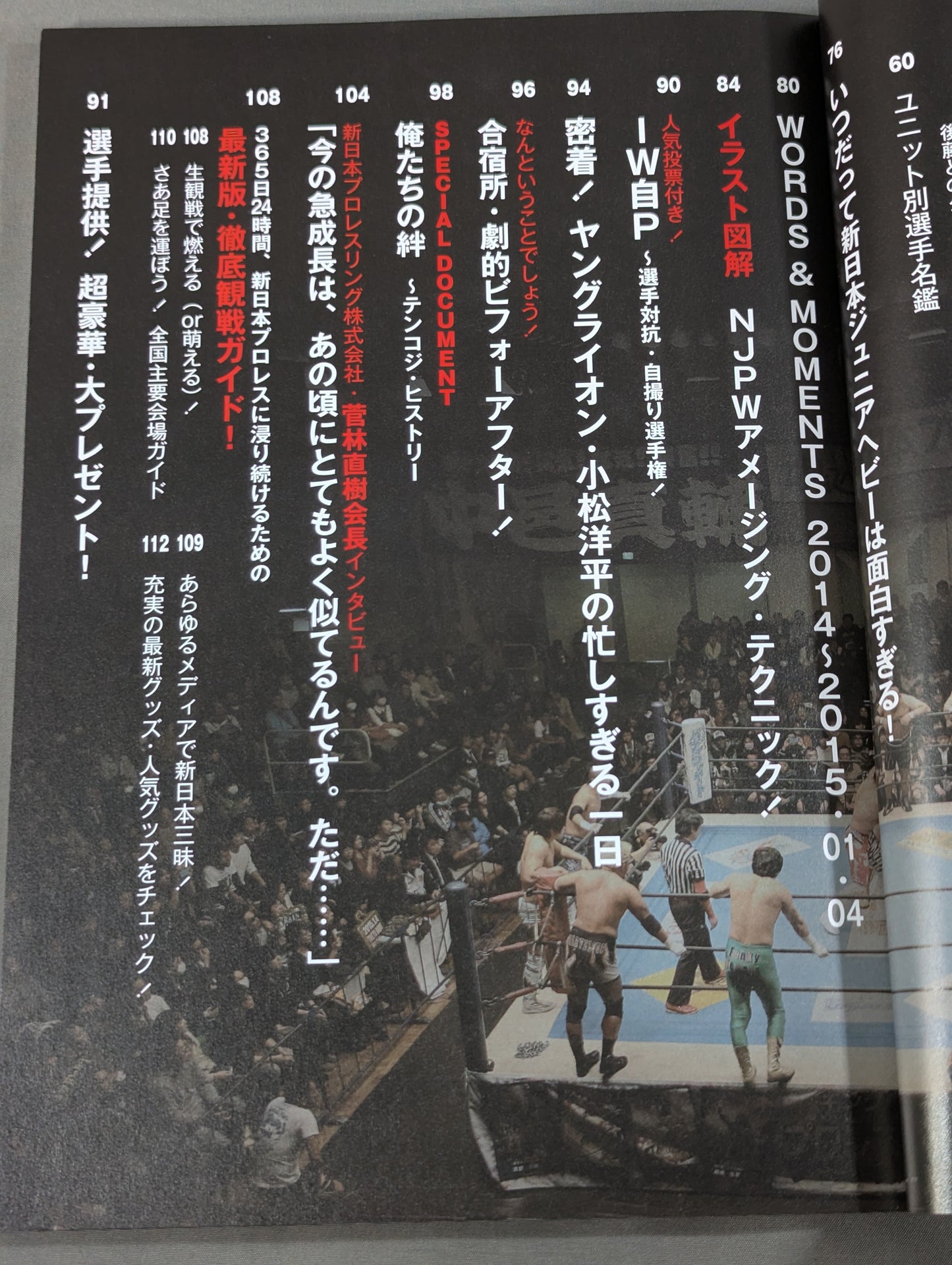 新日本プロレスぴあ2015