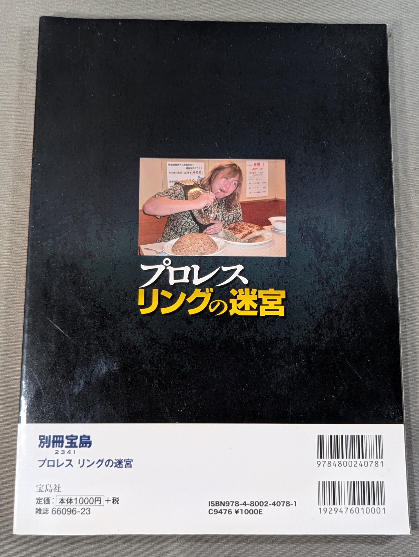 別冊宝島2341 プロレス リングの迷宮 新日本のノア植民地支配と森嶋引退の真相