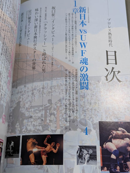 Bessatsu Treasure Island 2195 Pro Wrestling  Enthusiasm Era
