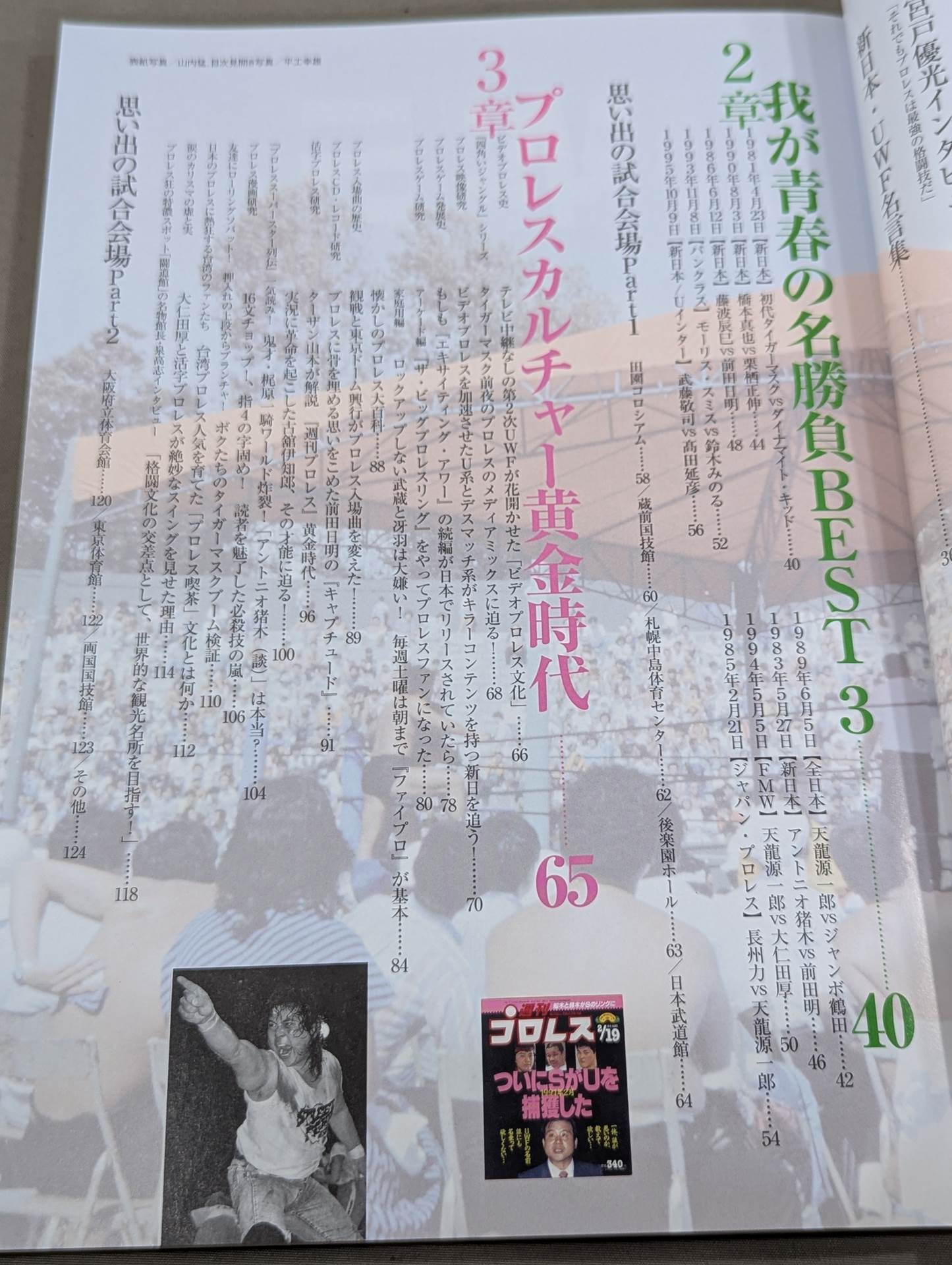 Bessatsu Treasure Island 2195 Pro Wrestling  Enthusiasm Era