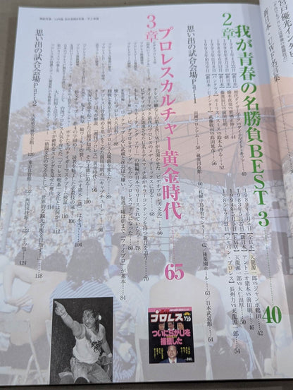 Bessatsu Treasure Island 2195 Pro Wrestling  Enthusiasm Era