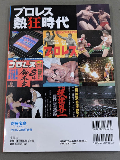 Bessatsu Treasure Island 2195 Pro Wrestling  Enthusiasm Era