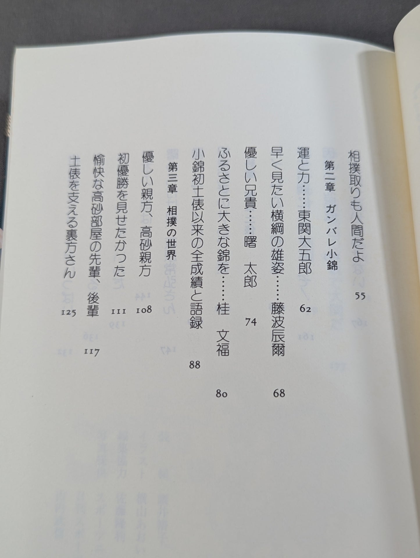 夢は土俵に