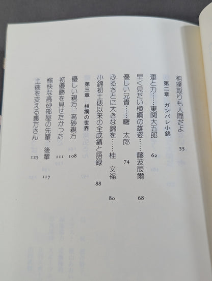 夢は土俵に