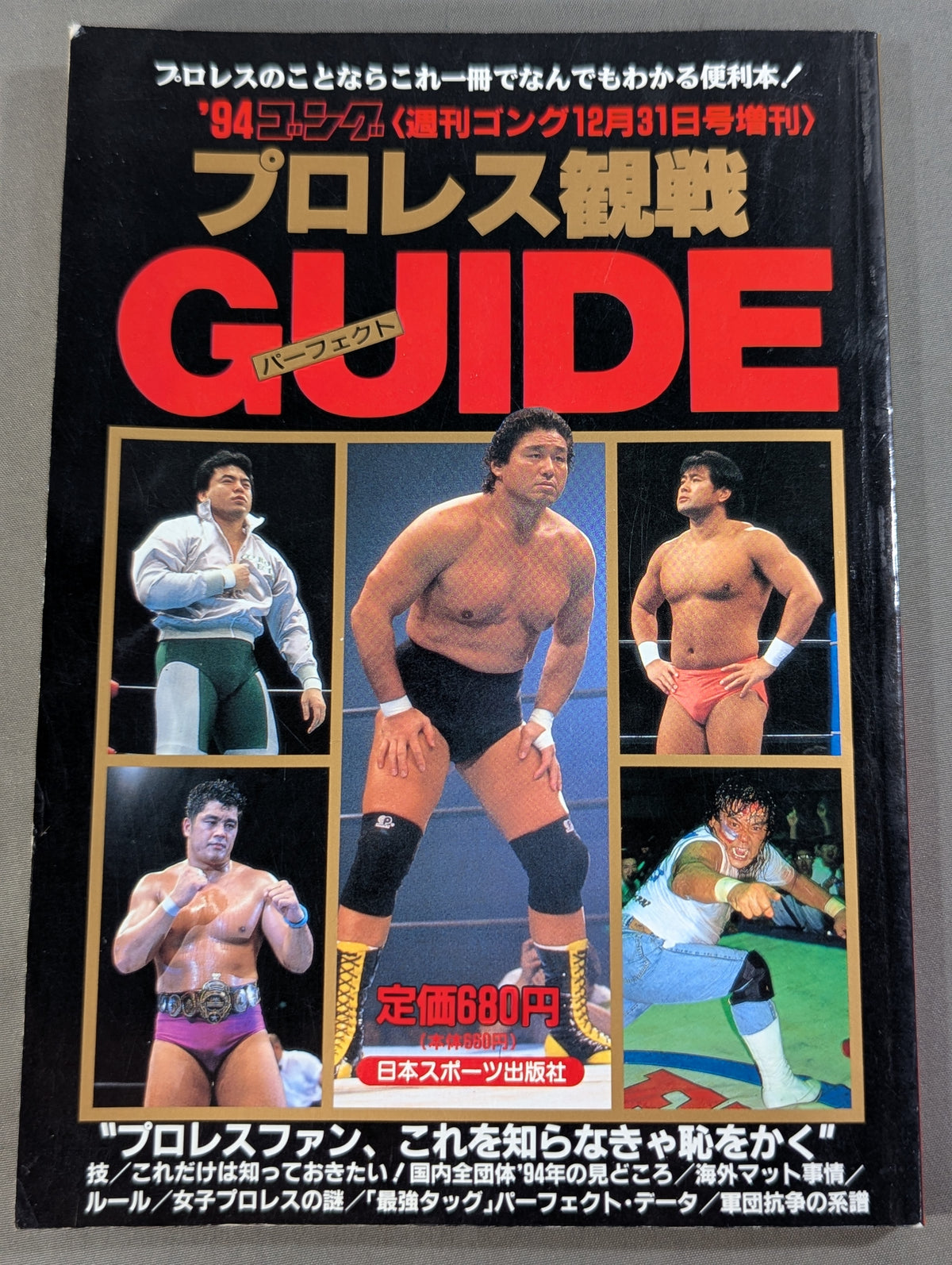 94 Gong Pro Wrestling  Perfect Guide