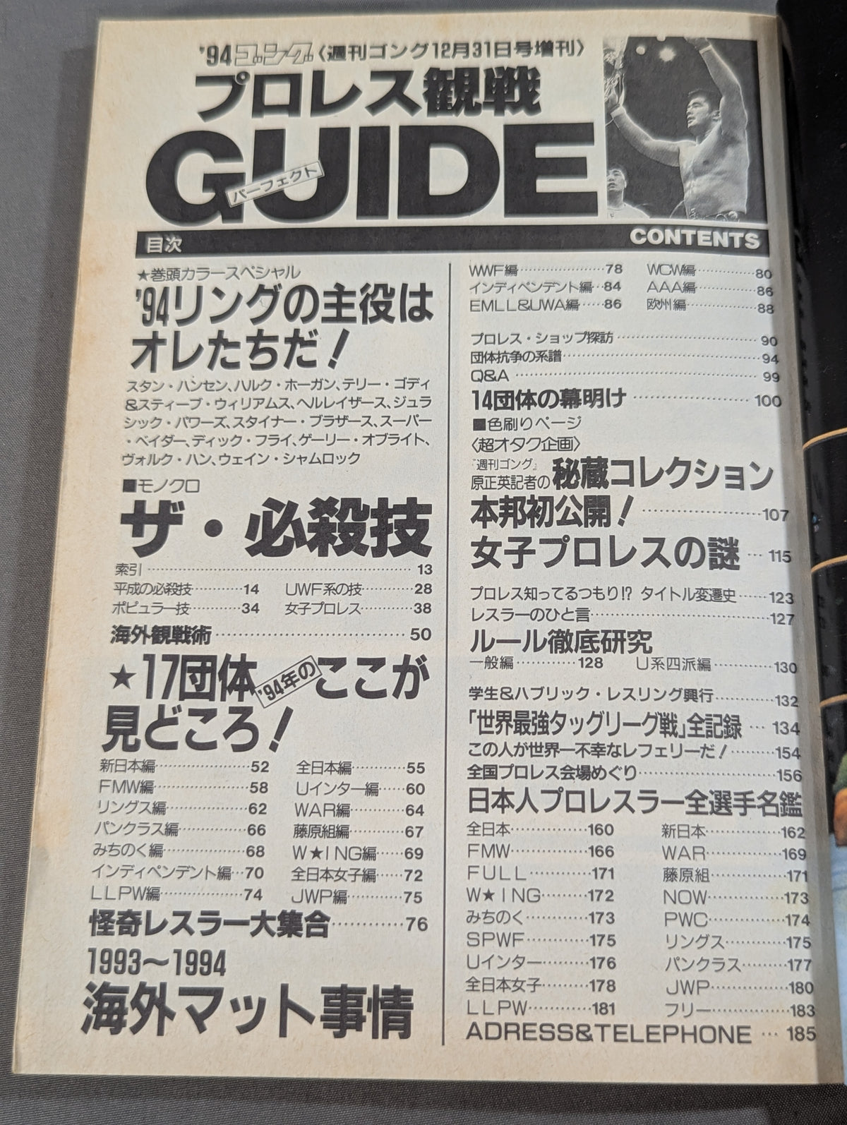 94 Gong Pro Wrestling  Perfect Guide