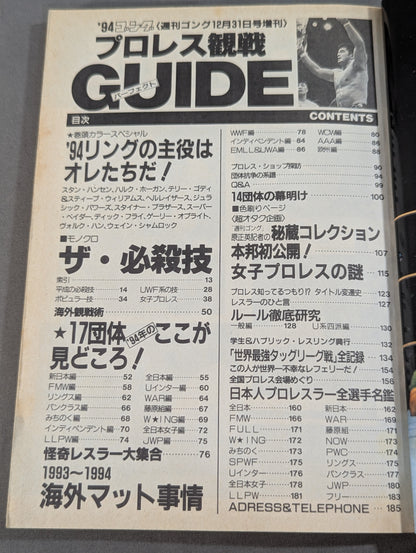 94 Gong Pro Wrestling  Perfect Guide