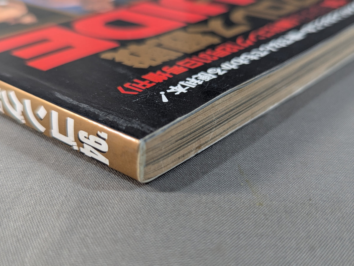94 Gong Pro Wrestling  Perfect Guide