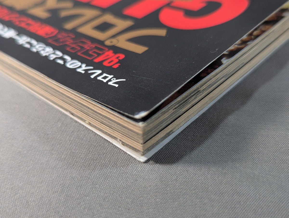 94 Gong Pro Wrestling  Perfect Guide