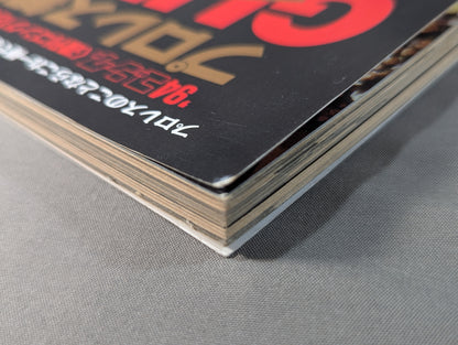 94 Gong Pro Wrestling  Perfect Guide
