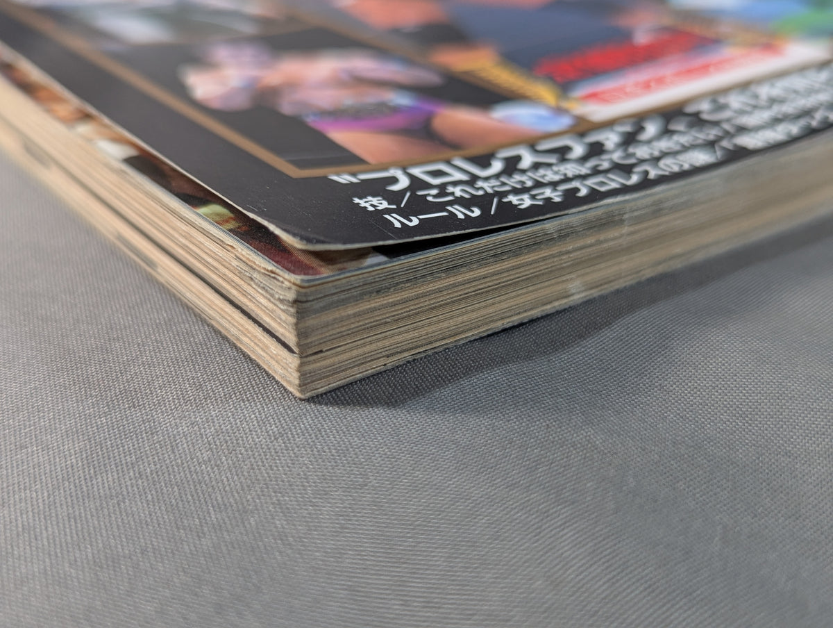 94 Gong Pro Wrestling  Perfect Guide