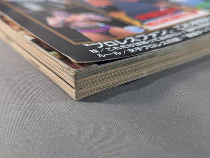 94 Gong Pro Wrestling  Perfect Guide