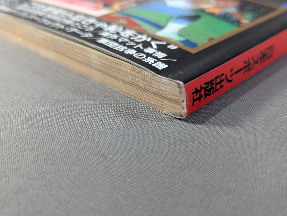 94 Gong Pro Wrestling  Perfect Guide
