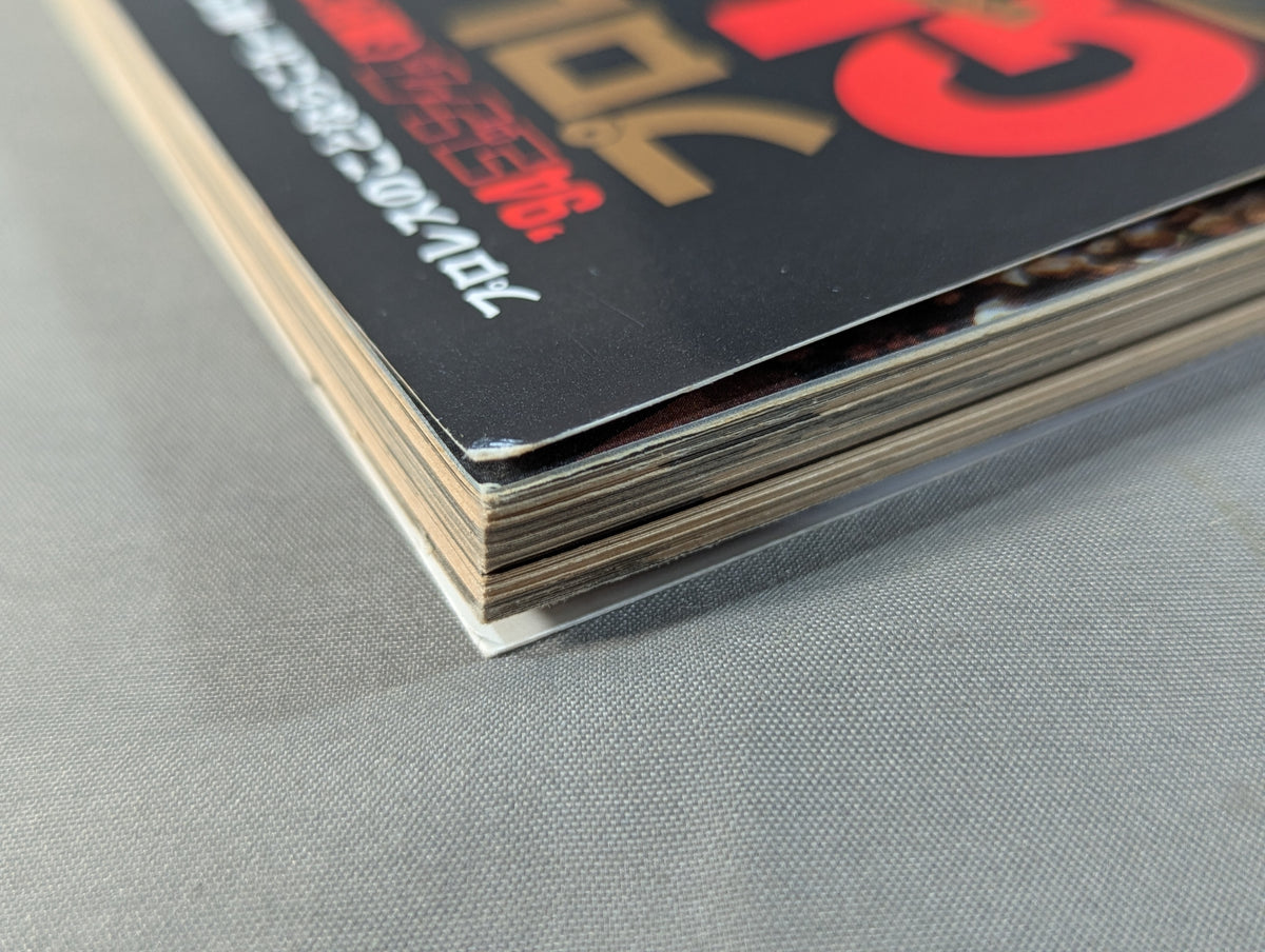 94 Gong Pro Wrestling  Perfect Guide