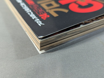 94 Gong Pro Wrestling  Perfect Guide